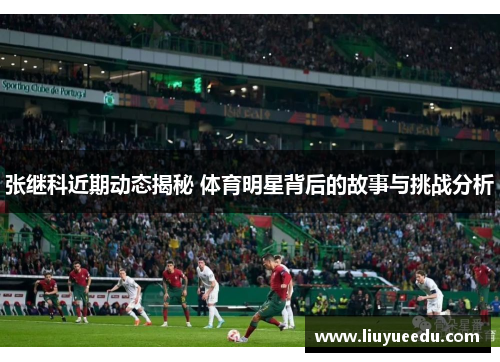 张继科近期动态揭秘 体育明星背后的故事与挑战分析
