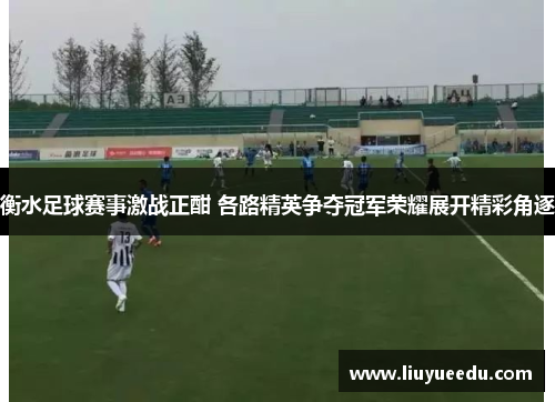 衡水足球赛事激战正酣 各路精英争夺冠军荣耀展开精彩角逐