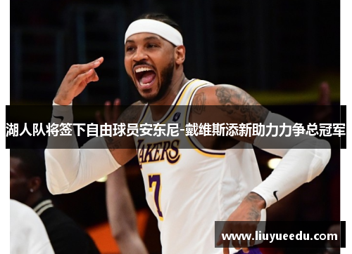 湖人队将签下自由球员安东尼-戴维斯添新助力力争总冠军