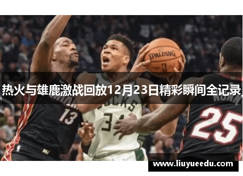 热火与雄鹿激战回放12月23日精彩瞬间全记录